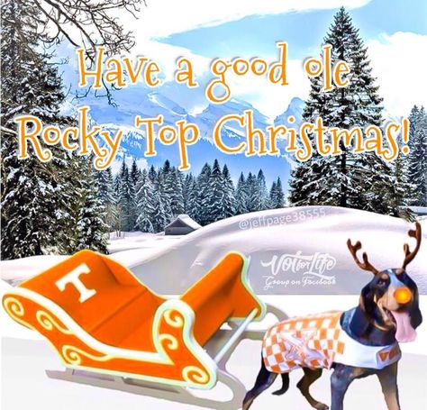 Rocky Top Christmas Touchdown Tennessee, Tennessee Mascot, Univ Of Tennessee, Tn Girl, University Of Tn, Tn Football, Tennessee Christmas, Rocky Top Tennessee, Neyland Stadium