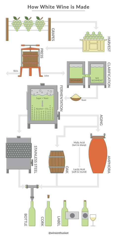 There are many steps to create your favorite white wine from grapes. We'll show you how white wine is made from the harvest to the bottle. How Wine Is Made, How To Make Wine From Grapes, Library Speakeasy, Wine Process, Wine From Grapes, Making Wine From Grapes, Homemade Booze, Backyard Vineyard, Winery Ideas