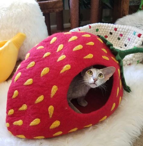 Handmade wool strawberry cat cave bed! Wool Cat, Cat Cave, Cat Holidays, Crochet Cat, Pet Bed, Cat House, Cat Bed, Dog Bed, Bean Bag Chair