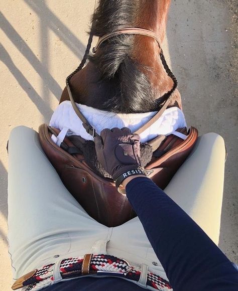 Horse Riding Aesthetic, Foto Cowgirl, Horse Riding Outfit, Equestrian Aesthetic, Horse Riding Clothes, Equestrian Girls, Horse Aesthetic, Cute Horses, Horse Life