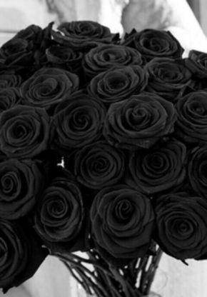 Card Costume, Black Halloween Costumes, Black Rose Flower, Natural Red Hair, Black Roses, Inspire Me Home Decor, Trendy Flowers, Black Halloween, Black Flowers