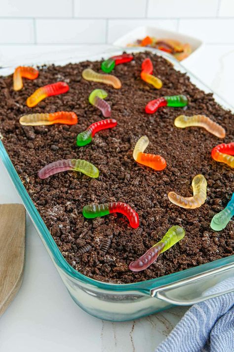 Oreo Dirt Cake Best Dirt Cake Recipe, Dirt Cake Birthday, Dirt Cake Recipe Easy, Dirt Birthday Cake, Easy Oreo Dirt Cake, Older Than Dirt Cake, Dirt Cake With Gummy Worms, Dirt Cake Dessert, Oreo Dirt Cake Recipe