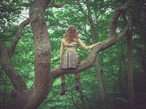 The author of 'The Tree Climber’s Guide' explains why we quit climbing trees and how we can get back into the branches. Climb A Tree, Tree Quotes, Climbing Trees, Sitting In A Tree, Karma Akabane, Climb Trees, Tree Pose, Old Trees, Never Too Old