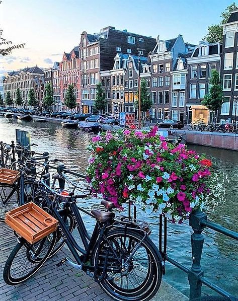 Amsterdam Honeymoon, Amsterdam Pictures, Amsterdam Travel Guide, 2023 Mood, Honeymoon Tour, Beauty Places, Netherlands Travel, Euro Summer, Amsterdam Travel