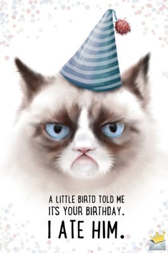 Happy Birthday Friendship, Happy Birthday Wishes For A Friend, Funny Happy Birthday Images, Funny Happy Birthday Meme, Funny Happy Birthday Pictures, Happy Birthday For Him, Happy Birthday Typography, Happy Birthday Cat, Funny Birthday Meme