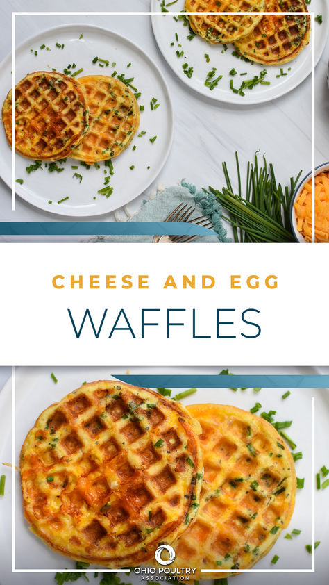 Cheese and Egg Waffles (a.k.a. "Chaffles") by food blogger @JuliaJolliff of A Cedar Spoon are the perfect back-to-school breakfast! Filled with high-quality eggs, cheese and chives, these waffles are easy to make and freezer-friendly, making them ideal for those busy school mornings! Egg Waffles Keto, Eggs In Waffle Maker, Egg Waffle Recipe, Ketovore Diet, Egg Recipes For Kids, Egg Waffles, Histamine Foods, Bariatric Meals, Low Histamine Foods