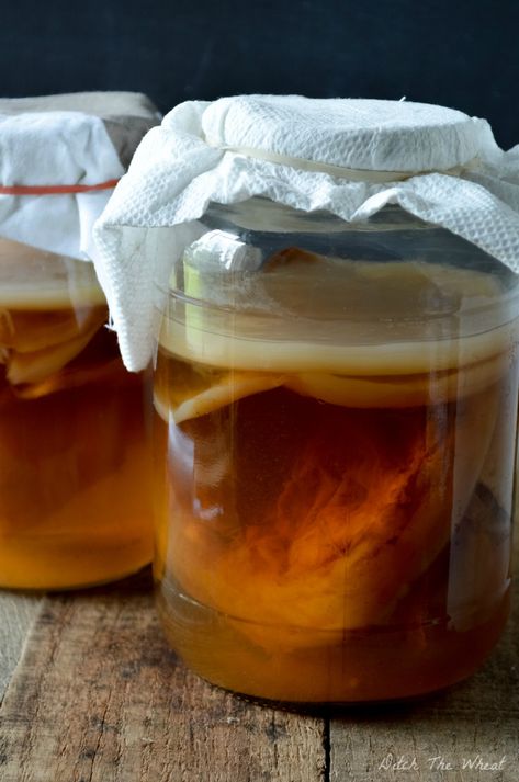 How to Grow a Scoby from store bought kombucha Diy Kombucha, Natural Dish Soap, Echinacea Benefits, Kombucha Scoby, How To Brew Kombucha, Kombucha Recipe, Homemade Kombucha, Fermented Tea, Kombucha Tea