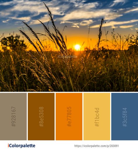 Color Palette ideas from 7106 Sky Images | iColorpalette Color Palette From Image, Paint Pallet, Color Energy, Color Palette Ideas, Sky Images, Image Collage, Palette Design, Palette Ideas, Yellow Sky