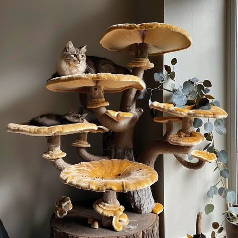 Whimsical Cat Trees, Moss Cat Tree, Mushroom Cat Bed, Book Shelf Cat Tower, Witchy Cat Tree, Diy Mushroom Cat Tree, Cat Tree Tree, Mushroom Home Aesthetic, Mushroom Cat Tower