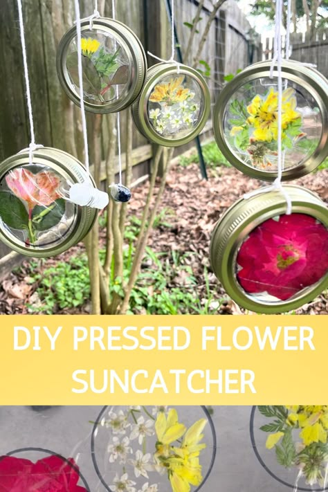 This DIY pressed flower suncatcher is so beautiful and easy to create. It uses recycled mason jar lids and other items you already have in your home! Pressed Flower Mason Jar, Mason Jar Lid Suncatcher, Pressed Flower Suncatcher Kids, Plant Suncatcher Craft, Dried Flower Mothers Day Craft, Mason Jar Lid Flowers Diy, Flower Suncatcher Craft, Dried Flower Suncatchers Diy, Pressed Flower Diy Crafts