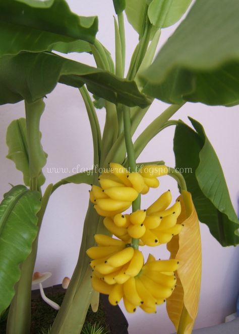 Pudding Banana Bread, Clay Flower Art, Garden Party Wedding Dress, Miniature Fruit Trees, Recipes Banana Bread, Grow Banana Tree, Wedding Dress Garden, Cookies Banana, Tree Orchard