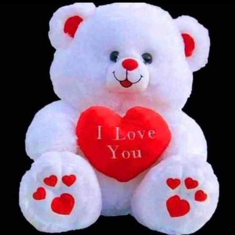 Cute Teddy Bear Pics For Dp, Beautiful Teddy Bear, Cute Wallpapers Teddy Bear, Teddy Bear Dp, Happy Rose Day My Love, Teddy Bear Pics, Teddy Day Pic, Happy Teddy Day Images, Cute Teddy Bear Pics