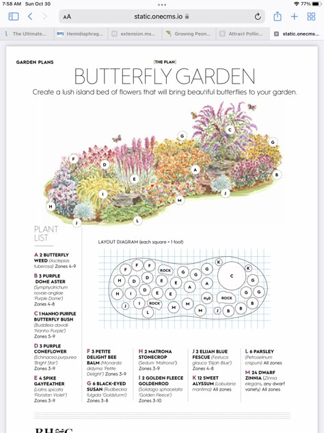 Cottage Garden Plan, Flower Garden Layouts, Perennial Garden Plans, Garden Bed Layout, Flower Garden Plans, Butterfly Garden Design, Flower Bed Designs, Backyard Flowers, Cottage Garden Design