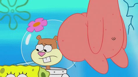 Spongebob And Patrick Matching Pfp, Patrick Sleeping, Low Quality Spongebob, Spongebob Clips, Sandy Cheeks Spongebob, Patrick Gif, Spongebob Gif, Spongebob Funny Pictures, Star Gif