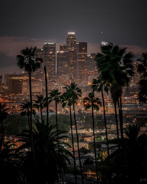 Night California Aesthetic, Los Angeles At Night, Los Angeles Wallpaper, Los Angeles Aesthetic, Los Angeles Travel, City Vibe, City Of Angels, City Wallpaper, Dream City