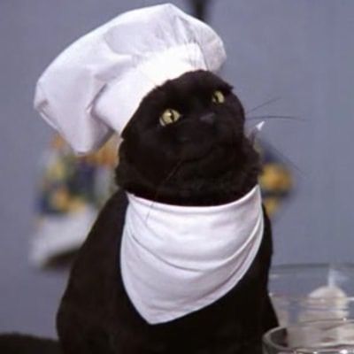 Salem The Cat, Salem Saberhagen, Salem Cat, Gatos Cool, Sabrina Witch, Sabrina The Teenage Witch, Sabrina Spellman, Chef Hat, Memes Br