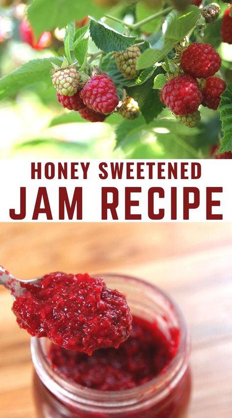 Jams Made With Honey, Honey Jam Recipes, Muscadine Jelly, Easy Jam Recipe, Fruit Jam Recipes, Low Sugar Jam, Make Jam, Fruit Fast, Easy Jam