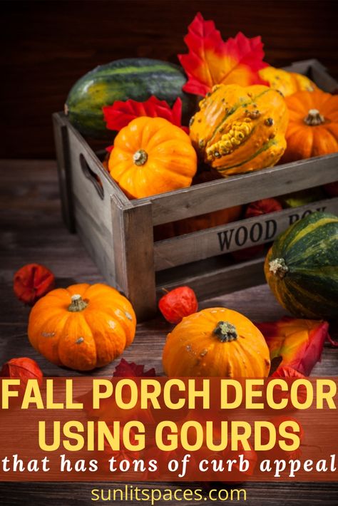 Sunlitspaces.com is all about DIY, Holidays, and Home decor ideas. Read this post about fall porch and home decor and why you should use gourds. For this and other holiday or seasonal decorating tips, read the blog. Sign today for our emails by subscribing to the blog. #hoemdecor #fallporchdecor #decoratingtips #sunlitspacesblog Decorating With Gourds For Fall, Diy College Decor, Fall Gourds, Rustic Baskets, Decorative Gourds, College Decor, Painted Gourds, Dining Table Centerpiece, Diy Outdoor Decor