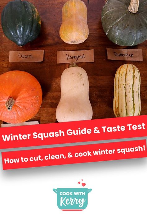 Pictures Of Squash, Autumn Frost Squash, Different Kinds Of Squash, Creamy Pasta Sauce Recipes, Squash Acorn, Winter Squash Varieties, Red Kuri Squash, Winter Squash Soup, Honeynut Squash