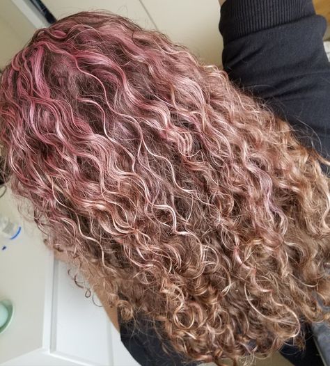 Rose gold highlights for curly hair Blonde Curly Hair Pink Highlights, Short Curly Hair Pink Highlights, Curly Dyed Hair Highlights, Pink Highlights In Blonde Hair Curly, Pink Highlights In Brown Curly Hair, Curly Pink Highlights, Curly Hair Pink Highlights, Curly Hair With Pink Highlights, Pink Highlights Curly Hair