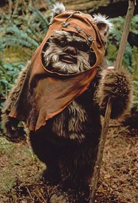 I'm going to be tackling an Ewok costume for a friends nephew. It's gonna be so much fun! Wicket Ewok, Ewok Costume, Bulldog Costume, Dark Vader, Dark Vador, Star Wars Day, Star Wars Gifts, English Bulldog, Movies And Tv Shows