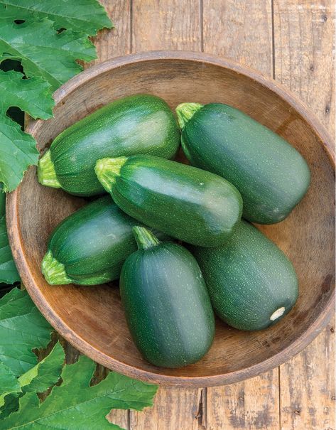 35 Different Types of Squash (with Pictures) - Clean Green Simple Sweet Dumpling Squash, Squash Types, Winter Squash Varieties, Crookneck Squash, Pickled Green Beans, Buttercup Squash, Growing Zucchini, Zucchini Recipes Healthy, Zucchini Banana Bread