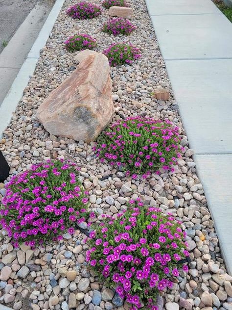 Rock Landscaping Ideas Side Of House, Rock Garden Against House, Stone Landscaping Ideas Flower Beds, Rock Garden With Flowers, Flower Bed With White Rocks, Front Yard Strip Landscaping, Decorative Rock Landscaping Flower Beds, Parking Strip Landscaping Curb Appeal, Rocked Flower Bed