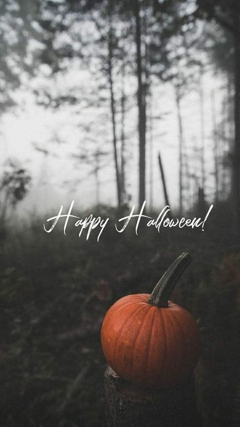 Halloween Screensavers, Hello October Images, Instagram Stories Idea, Halloween Planner, Halloween Digital Art, October Wallpaper, Halloween Wallpaper Cute, Ghost Images, Halloween Wallpapers