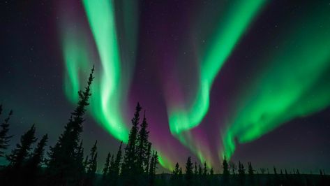 Alaskan Northern Lights, Alaska Quotes, Puns Quotes, Lit Captions, Short Captions, Alaska Northern Lights, Visit Alaska, Alaska Vacation, Quotes Short