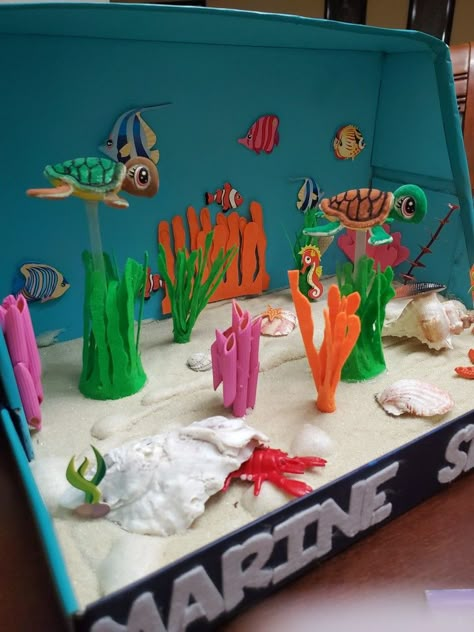 Sea Turtle Habitat Diorama, Ecosystems Projects Shoebox Ocean, Ocean Diorama Project Under The Sea, Habitat Diorama Ideas For Kids, Ocean Habitat Project, Habitat Diorama, Habitat Project, Ocean Diorama, Ocean Art Projects