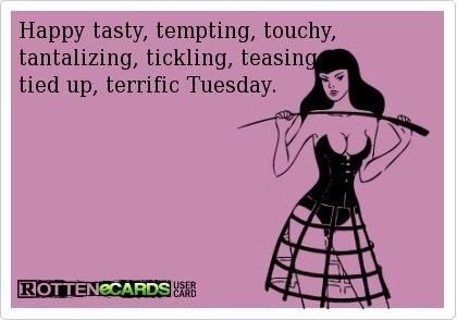 Tuesday Pure Romance Consultant Business, Wings Book, Happy Tuesday Quotes, Tuesday Quotes, Tuesday Humor, Weekday Quotes, Dirty Memes, Humor Inappropriate, Heels High