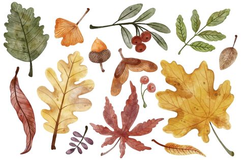 Autumn Leaves Watercolor, 숲 사진, Watercolor Vector, Leaves Watercolor, Halloween Traditions, Fall Watercolor, Autumn Painting, Cute Patterns Wallpaper, Picture Books