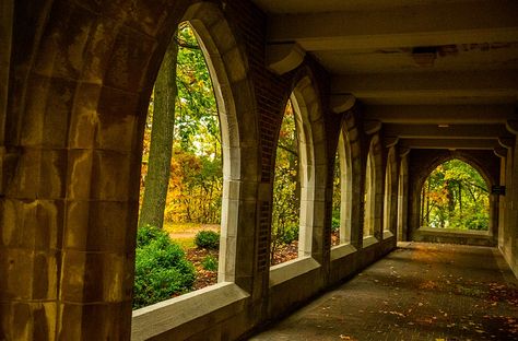 Arches -  Augustana College Augustana College, College Guide, Pinterest Pictures, Photography Group, Quad Cities, Alma Mater, My Stuff, School Architecture, Staircases