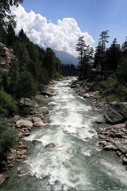 Alexander ended his Indian adventure on the banks of this beautiful river Beas. His troops mutinied here refusing to go any further inside India as they were scared of fighting an army of elephants. They had difficult time fighting the 200 elephants of Porus.    And they got the news that on the other side of the river bank, was waiting a huge army of the mighty Nanda empire of India consisting of 200000 infantry, 80000 cavalry, 8000 war chariots, and MOST IMPORTANT OF ALL 6000 war elephants. Beas River Manali, River Bank Photography, Manali Trip, Manali India, India Travel Places, Hiking Places, Beautiful River, Summer Book, Pakistan Travel