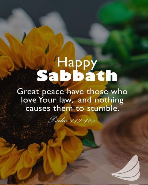 Sabbath Blessings Quotes, Happy Sabbath Adventist, Happy Sabbath Quotes Beautiful, Blessed Sabbath, Sabbath Greetings, Sabbath Prayer, Sabbath Blessings, Happy Sabbath Quotes, Happy Sabbath Images