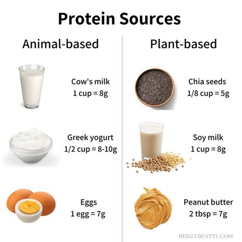 How to Make Protein Overnight Oats without Protein Powder - Reilly Beatty Sports Nutrition How To Eat Protein Powder, Protein Recipes Without Powder, Overnight Oats Without Protein Powder, Yummy Overnight Oats, Homemade Protein Powder, Protien Powders, Natural Protein Powder, Protein Rich Breakfast, Protein Overnight Oats