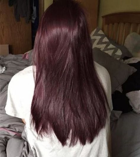 Purple Red Brown Hair, Dark Wine Red Hair, Dark Cherry Brown Hair, Pelo Color Vino, Cherry Hair Colors, Red Balayage, Red Hair Inspo, Wine Hair, Cherry Hair