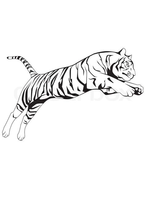 Jumping Tiger Coloring Page for kids. Free Printable Coloring Pages of Tiger download and print For Kids. Jumping Tiger Drawing, Tiger Jumping Drawing, Jump Pose, Sketch Tiger, Jump Art, Jumping Tiger, Jump Animation, Tiger Coloring, Dover Publications Coloring