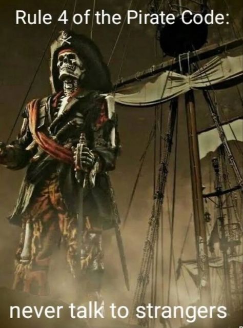 Pirate Facts, Pirate Humor, Skeleton Memes, Pirate Funny, Pirate Code, Pirate Aesthetic, Cool Skeleton, The Pirate, Silly Images