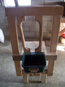 Milking Stanchion, Goat Stand, Homesteading Tools, Goat Milking Stand, Farmers Life, Cow Milking, The Prairie Homestead, Milk Cows, Goat Shelter