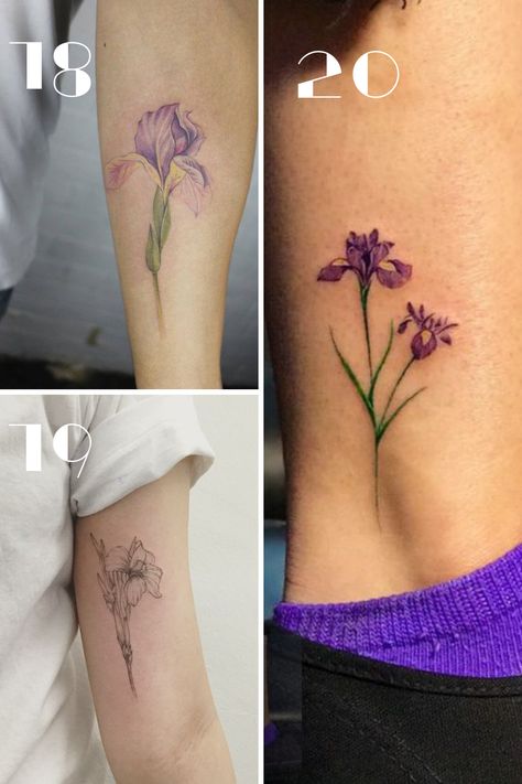 Beautiful Iris Tattoo Ideas Designed - TattooGlee Retirement Tattoo Ideas, Iris Tattoos For Women, Iris Flower Drawing Simple, Jamie Tattoo, Iris Flower Tattoo, Iris Tattoo, Tattoos To Cover Scars, Flower Tattoo Meanings, Cactus Tattoo