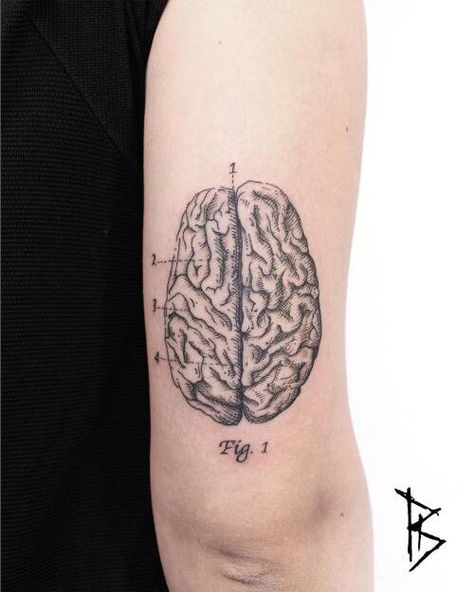 Anatomical brain tattoo Psychology Tattoo, Scientific Tattoo, Anatomical Tattoos, Unique Forearm Tattoos, Tricep Tattoos, Forearm Tattoo Ideas, Anatomy Tattoo, Brain Tattoo, Patriotic Tattoos