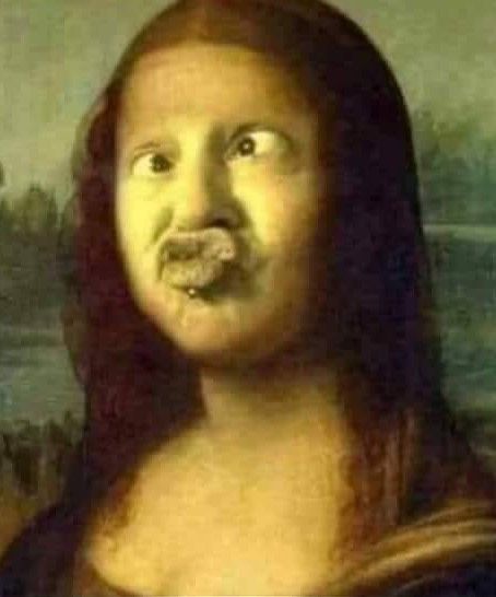 Funny Monday Memes, Mona Lisa Parody, Monday Humor, 9gag Funny, Duck Face, Crazy Funny Pictures, Art Parody, Funny Animal Quotes, Funny Profile