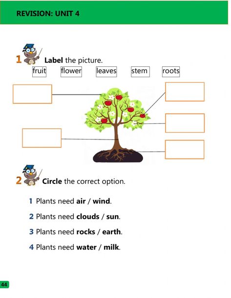 What plants need and parts of the plant - Interactive worksheet Importance Of Plants Worksheet, Plants Worksheets For Grade 1, Parts Of A Tree Worksheet, Parts Of A Tree, Plant Life Cycle Worksheet, Life Cycle Worksheet, Evs Worksheet, Homeschool Worksheets Free, Tree Worksheet