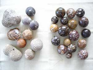 Bean Ideas, Seaside Crafts, Coastal Tree, Bean Jewelry, Natural Crafts, Sea Beans, Destination Unknown, Rocks And Fossils, Rock Tumbler