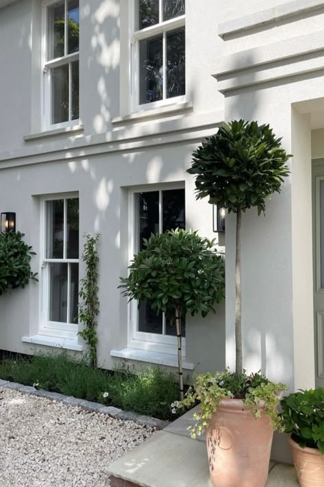 Entrance Planters, Upvc Sash Windows, Timber Front Door, Architecture Render, Cedar House, Porch Entrance, Classic Facade, White Exterior Houses, Front Garden Design