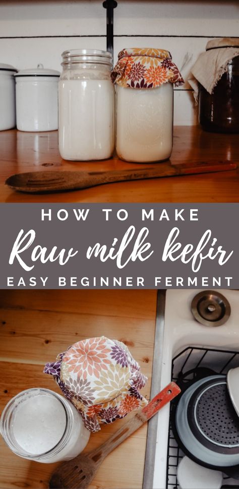 Homemade Kefir, Milk Kefir Recipes, Milk Kefir Grains, Fermented Milk, Kefir Recipes, Kefir Grains, Healthy Probiotics, Milk Kefir, Fermentation Recipes