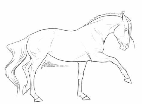 Horse lineart Equine Art Abstract, Equine Art Pencil Drawings, Horse Lineart, Horse Template, Horse Outline, Abstract Horse Painting, Horse Sketch, Drawing Examples, Horse Illustration