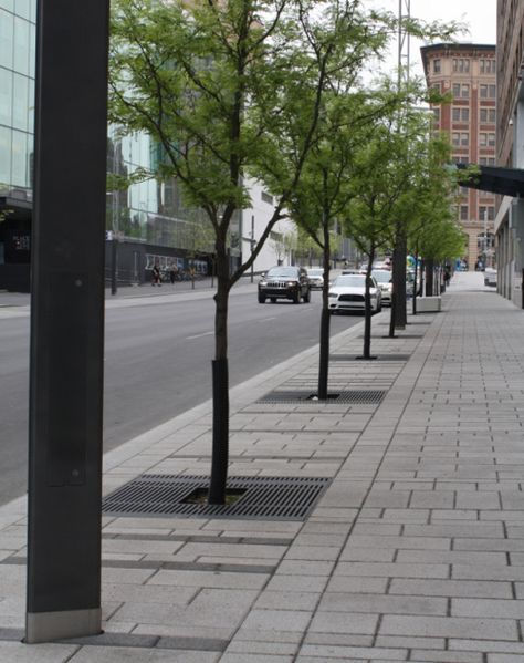 Montreal plazas 8 Innovation District, Tree Grate, Streetscape Design, Pavement Design, Paving Pattern, Paving Design, Urban Design Concept, Urban Tree, Urban Landscape Design