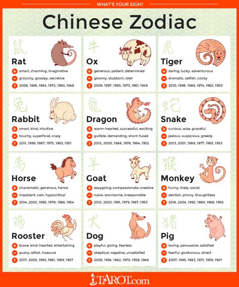 What's your Chinese zodiac sign? Chinese Zodiac Rat, Chinese Numerology, Zodiac Years, Chinese Calendar, Zodiac Calendar, Sign Meaning, Chinese Astrology, Astrology Numerology, Sign Dates